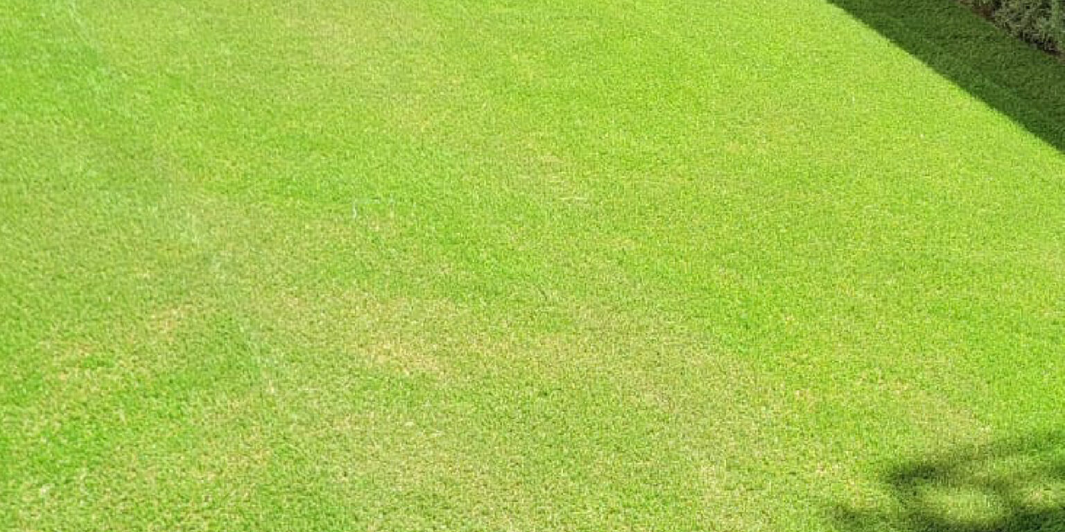 tayfon-venta-de-pasto-sintetico-para-casas-06