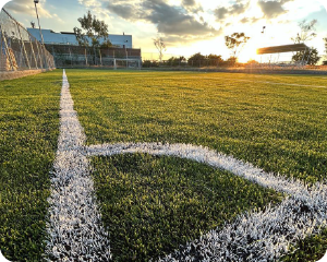 tayfon_pasto-sintetico-canchas-de-futbol-bg300