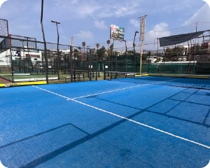 tayfon_pasto-sintetico--canchas-de-padel-bg300